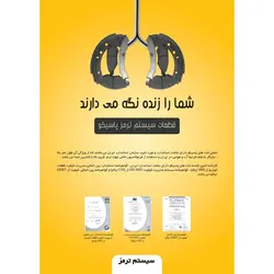 لنت ترمز جلو پاسیکو مدل P1501 مناسب برای پیکان | گارانتی اصالت و سلامت فیزیکی کالا