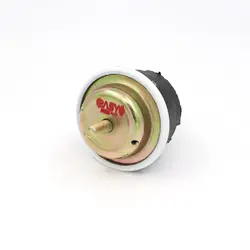 دسته موتور دو سر پیچ هیدرومانت پاسیکو مدل P255 مناسب برای پژو 405 | گارانتی اصالت و سلامت فیزیکی کالا