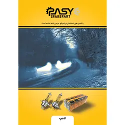 لامپ خودرو پاسیکو مدل P810 H4-100/90W | گارانتی اصالت و سلامت فیزیکی کالا