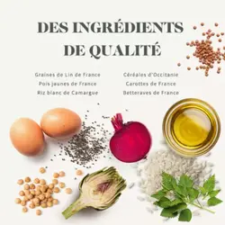 تشویقی مغزدار گربه طعم مرغ برند Babin بابین 60 گرمی