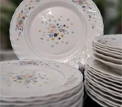 بشقاب خورشت خوری لومینارک فرانسه طرح ویکتوریا