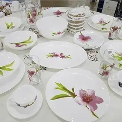 سرویس ۲۶ پارچه آرکوپال لومینارک فرانسه طرح واتر کالر