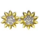 دکمه مدل جفتی Y904