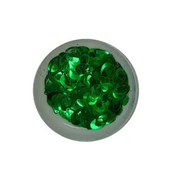 پولک مدل گوشواره ای PB30 وزن 20 گرم