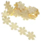 نوار یراق مدل Y1884 طول 2 متر