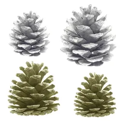 میوه تزیینی درخت کاج مدل Y2315 بسته 4 عددی