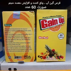 قرص چاق کننده صورت گین آپ GAIN UP - فروشگاه اینترنتی نیک دارو