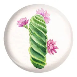 پیکسل بزرگ کاکتوس