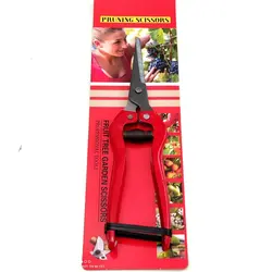 قیچی میوه چینی و گل و گیاه Prunin scissors