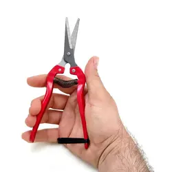 قیچی میوه چینی و گل و گیاه Prunin scissors