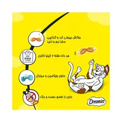 غذای تشویقی گربه دریمز مدل Snack With Salmon and Chese وزن 60 گرم