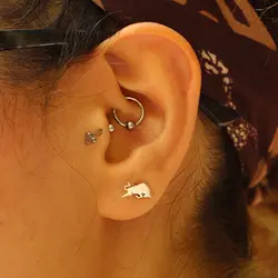 پیرسینگ نقره ردبول