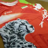 دوبند کشتی کشی-طرح یوزپلنگ وایران-در دورنگ