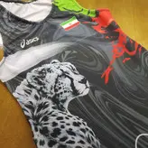 دوبند کشتی کشی-طرح یوزپلنگ وایران-در دورنگ