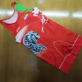 دوبند کشتی کشی-طرح یوزپلنگ وایران-در دورنگ