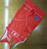 دوبند کشتی کشی-طرح یوزپلنگ وایران-در دورنگ