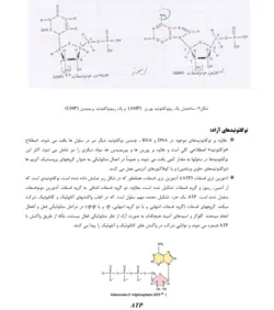 دانلود جزوه گیاه شناسی 1 | عصر گرافیک