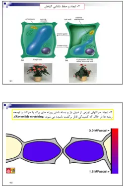 دانلود جزوه رابطه آب خاک و گياه پيشرفته | عصر گرافیک