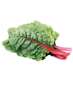 برگ چغندر خشک شده