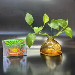 قرص فت فیس گندمی کل بدن60عددی افزایش وزن واشتها