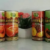 پودرچاقی میوه ای گین آپ محصول بینظیر ترکیه