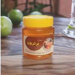 عسل ارگانیک کوهستان ملایر (شیرتیزه) (با وزن 500 گرم)