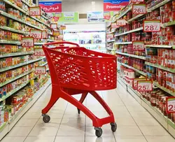 چرخ خرید پلیمری فروشگاهی آسان رو ( ترولی ) 210 لیتری - فروشگاه آنلاین قفسه بندی امیر