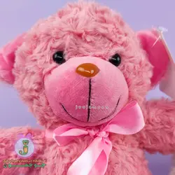 عروسک خرس راس | مدل پاپیون دار | 18 سانت