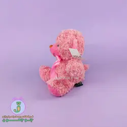 عروسک خرس راس | مدل پاپیون دار | 18 سانت