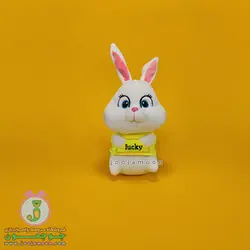 عروسک خرگوش | مدل لپ برجسته | 20 سانت
