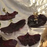 قالب رزین مدل برگ جینکو کد 65