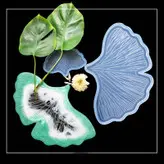 قالب رزین مدل برگ جینکو کد 65