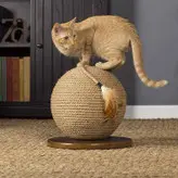 اسکرچر گربه مدل توپی ساده