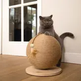 اسکرچر گربه مدل توپی ساده