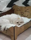 تخت خواب سگ