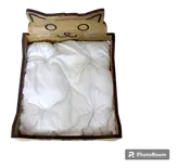 تخت خواب گربه
