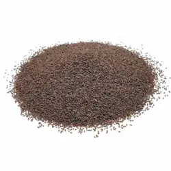 تخم بارهنگ 60گرمی سبوس