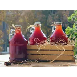 آبغوره طبیعی530ی سی سبوس