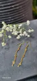 گوشواره استیل