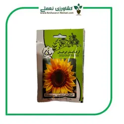 بذر افتابگردان شمشیری آرکا بذر - فروشگاه اینترنتی کشاورزی نعمتی