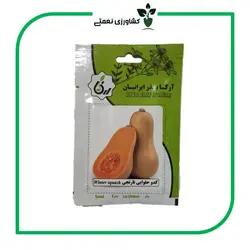 بذر کدو حلوایی نارنجی آرکا بذر ایرانیان - فروشگاه اینترنتی کشاورزی نعمتی
