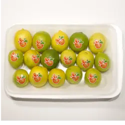 لیمو ترش شیرازی