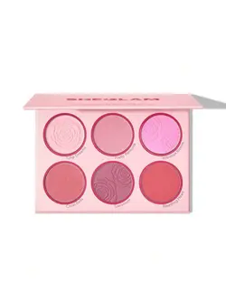 پالت رژگونه شیگلم blushing bouqet