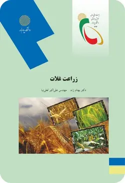 زراعت غلات