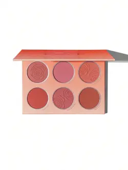 رژگونه 6 رنگ شیگلم (Floral flush blush palette sheglam) - فروشگاه نیواسان