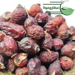 خرید قیمت میوه گل نسترن - خواص میوه نسترن برای رحم روش مصرف