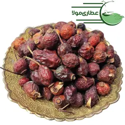 خرید قیمت میوه گل نسترن - خواص میوه نسترن برای رحم روش مصرف