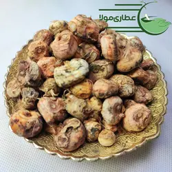 نخود الوند - عطاری مولا