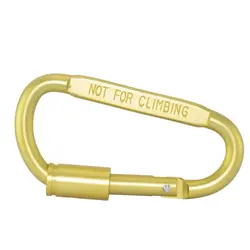 کارابین کوهنوردی فلزی ساده