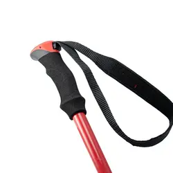 عصای کوهنوردی مدل ALPENSTOCK